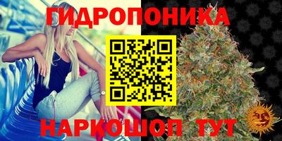 spice Абакан