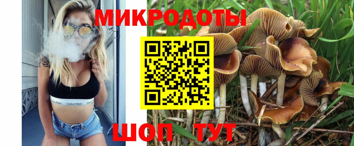 Галлюциногенные грибы MAGIC MUSHROOMS  Вход с VPN  Галлюциногенные грибы прущие грибы  купить   Ахтубинск 
